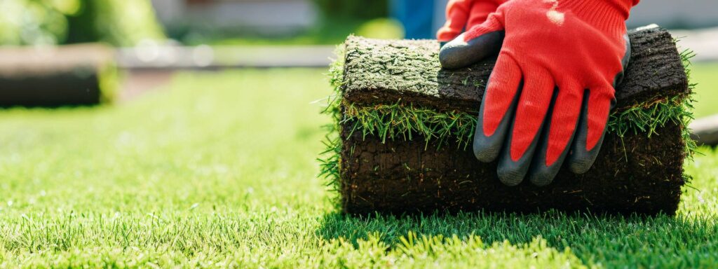 The Landscaper's Guide to Sod Installation: Best Practices for a Perfect Lawn 15 reliable sod installation service in Greensboro, GA