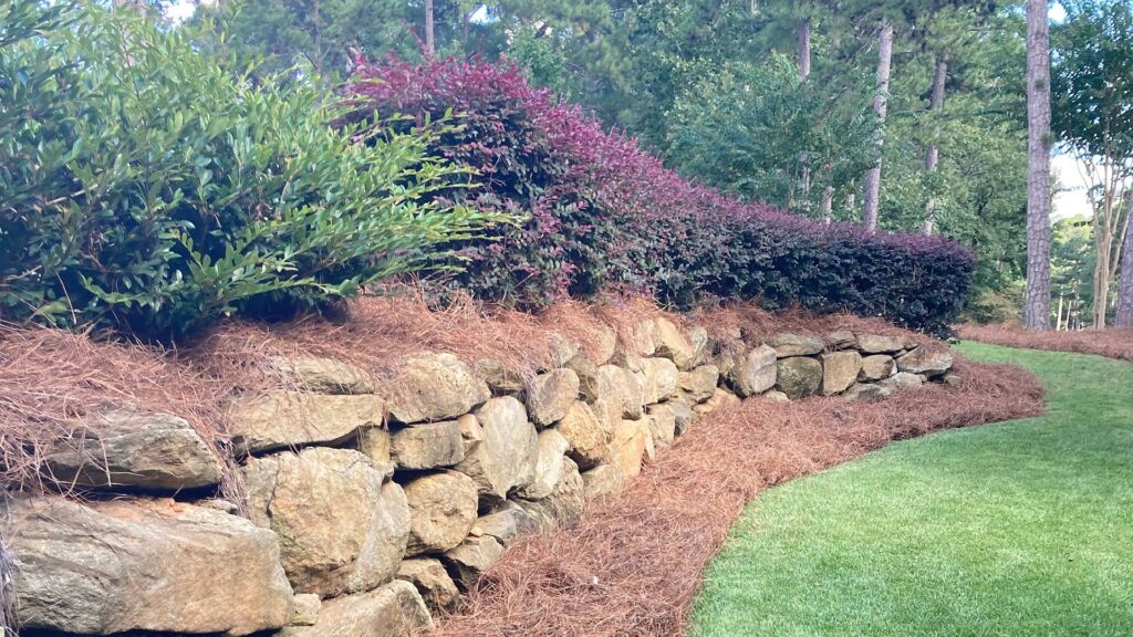 Drought-Resistant Landscaping: Beautiful Solutions for Water Conservation 7 quality drought resistant lawn in greensboro ga
