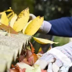How Much Does Gutter Cleaning Cost In Lake Oconee, GA? And How Often Should You Actually Do It? gutter cleaning cost in lake oconee ga
